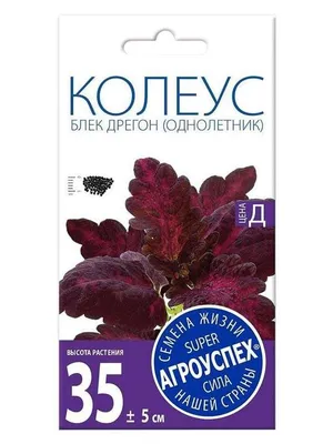 Колеусы Гавриш Комнатные растения - купить по выгодным ценам в  интернет-магазине OZON (1078158138)