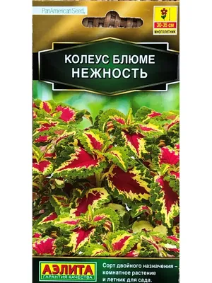 Семена колеус Агроуспех Блек дрегон 1 уп. - отзывы покупателей на Мегамаркет