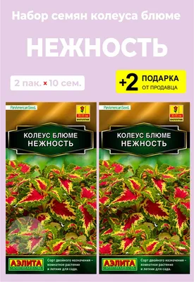 Семена колеуса, СеДеК, Радуга смесь сортов 1 г — купить в Абакане по цене  44 руб за шт на СтройПортал