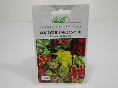 Семена Цветы, Колеус, Радуга, цветная упаковка, Седек в Белгороде: цены,  фото, отзывы - купить в интернет-магазине Порядок.ру