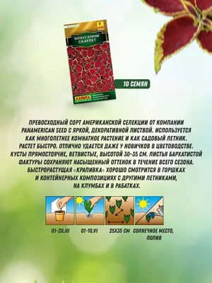 Семена колеуса, СеДеК, Фауст 1 г — купить в Брянске по цене 44 руб за шт на  СтройПортал