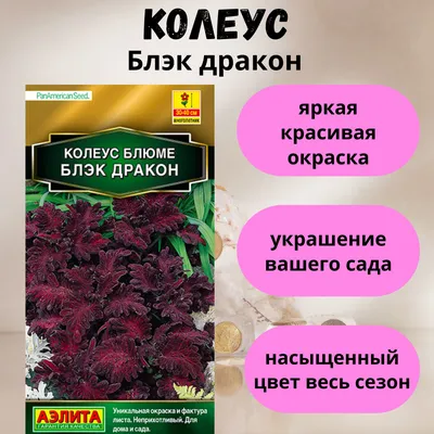 Колеусы Агрофирма Аэлита Дельфиниум Изумруд - купить по выгодным ценам в  интернет-магазине OZON (867065439)