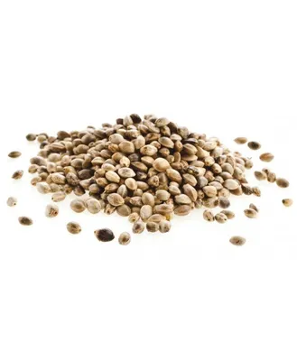Купить семена конопли пищевой для проращивания Образ жизни Алтая 200 г,  цены на Мегамаркет | Артикул: 100023364659