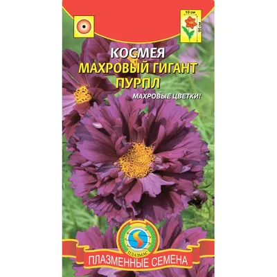 Семена цветов Космея Махровая смесь 0.5г | Семена цветов | Фиалка.net