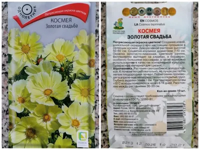 Космеи, Космея Сибирские семена MODEL_aa554855d8 - купить по выгодным ценам  в интернет-магазине OZON (1078670372)