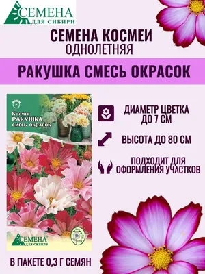 Космея, Космеи Сибирские семена MODEL_aa554855d8 - купить по выгодным ценам  в интернет-магазине OZON (1061464032)