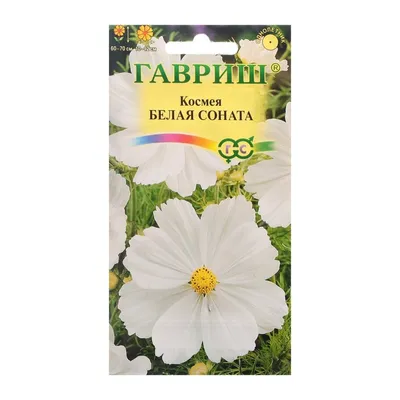 Купить семена: Космея Розовая сенсация - цены,фото,отзывы |  Green-Club.com.ua