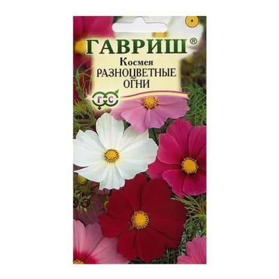 Семена космеи, ГАВРИШ, Розовые сны Розовая долина 0,05 г — купить в Брянске  по цене 20 руб за шт на СтройПортал