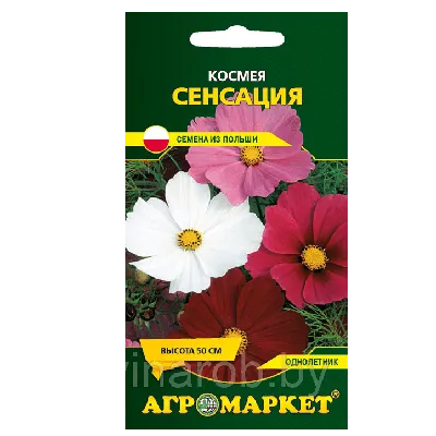 Семена космеи Сенсейшн Даззлер 20 шт Floragran купить в Украине - фото,  отзывы, описание ᐉ Agriks.com.uа