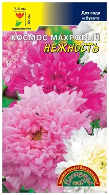 Купить семена космеи с доставкой курьером и почтой в интернет-магазине  Semena.ru