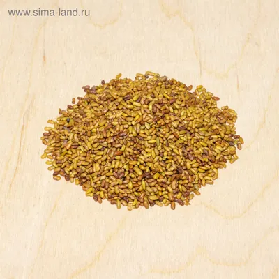 Семена Зеленый уголок Козлятник, 0.5 кг 4660001293779 - выгодная цена,  отзывы, характеристики, фото - купить в Москве и РФ