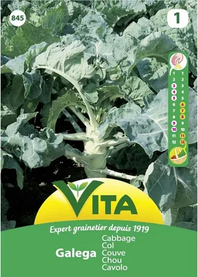 Семена козлятника МосАгроГрупп 1 кг МАС000008 (арт. 19868626) — купить с  доставкой