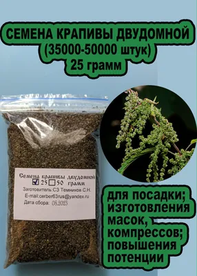 Семена крапивы двудомной 25 грамм - купить с доставкой по выгодным ценам в  интернет-магазине OZON (1106534882)