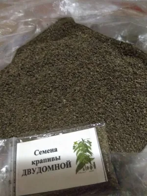 Архив продам семена крапивы на посадку ✔️ 6 грн. ᐉ Другие семена в Лимане  на BON.ua 98925959