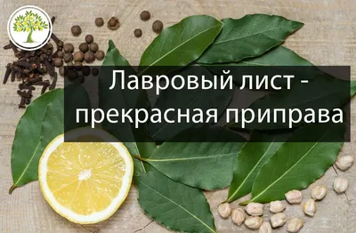 Купить Лавровый лист молотый, 100 гр. в Минске и почтой по Беларуси