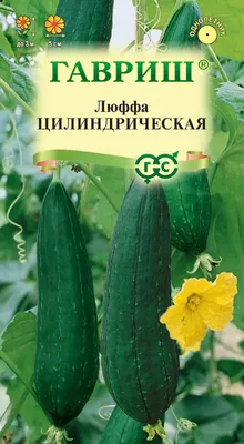 Семена люффа (мочалка) (5 семян) (ID#983642524), цена: 12 ₴, купить на  Prom.ua
