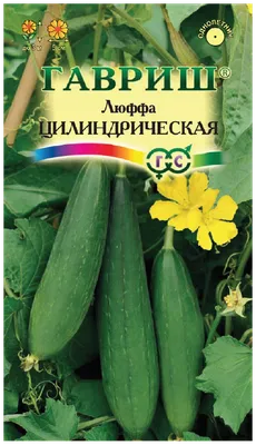 Отзыв о Семена Русский Огород \"Люффа\" | Хорошая, естественная мочалка.
