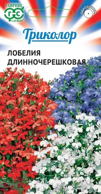 ✓ Семена Лобелия длинночерешковая, смесь, 0,01г, Гавриш. Триколор по цене 0  руб. ◈ Большой выбор ◈ Купить по всей России ✓ Интернет-магазин Гавриш ☎  8-495-902-77-18