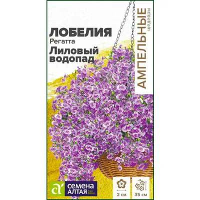 Семена лобелии: купить почтой. Интернет-магазин семян цветов с доставкой по  России