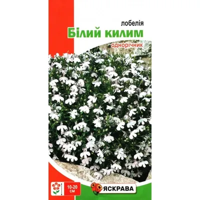 Семена лобелии Белый ковер, 0,1г, ТМ Яскрава купить по цене 4.20 грн. -  ОптоМания