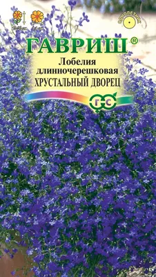 Семена цветов Лобелия Белоснежка 0.1г | Семена цветов | Фиалка.net