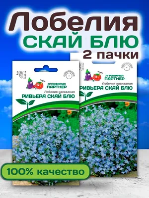 Семена Лобелии Ривьера Скай Блю АГРОФИРМА ПАРТНЕР 25858937 купить за 181 ₽  в интернет-магазине Wildberries