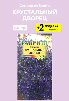 КАК СЕЯТЬ МЕЛКИЕ СЕМЕНА Лобелии? | Семена Алтая. Дачные советы от Виктории  Карелиной | Дзен