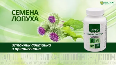 Лечебные свойства семян лопуха! | ВКонтакте