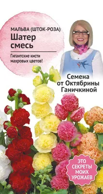 Семена мальва Семена от Октябрины Ганичкиной Шатер смесь 1 уп. - купить в  Москве, цены на Мегамаркет