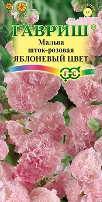 Семена мальвы Мажоретте 0,3г ТМ ВЕЛЕС (ID#618900230), цена: 6.50 ₴, купить  на Prom.ua