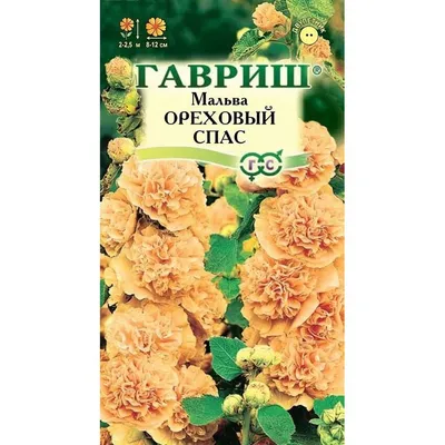 Семена мальвы Шатер Legutko бордовая 0,3 г (ID#1630367421), цена: 9.75 ₴,  купить на Prom.ua