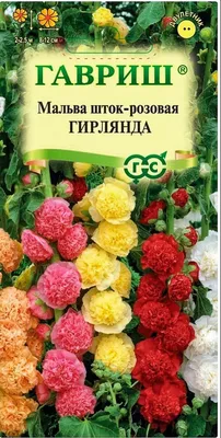 Купить семена Мальва Ореховый спас (Гавриш), семена мальвы в  интернет-магазине Калинка.Маркет заказать почтой