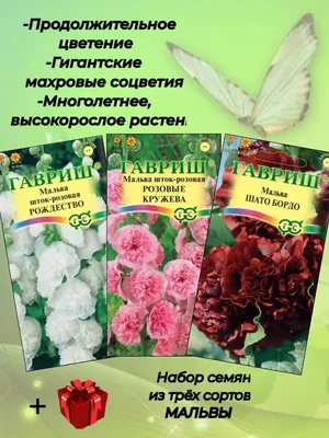 Продам насіння мальви мавританської, семена мальвы, Malva sylvestris seed,  калачики — Agro-Ukraine