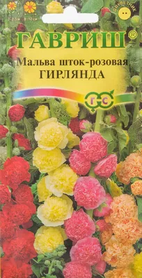 Семена Цветы, Мальва, Зебрина, 0.2 г, цветная упаковка, Русский огород в  Белгороде: цены, фото, отзывы - купить в интернет-магазине Порядок.ру