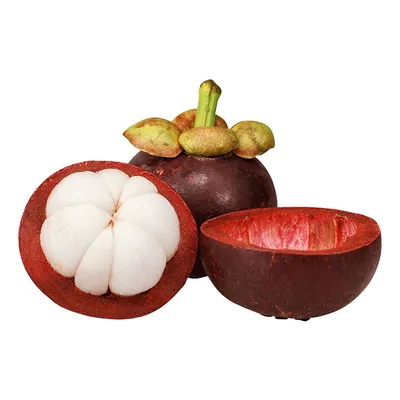 Buy 10Pcs Mangosteen Seeds Nutrient Rich Fruit Seed at affordable prices —  free shipping, real reviews with photos — Joom