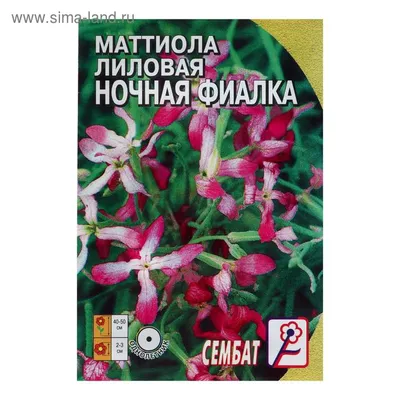 Семена маттиолы, Октябрина Ганичкина, Ночная фиалка 0,5 г — купить в  Санкт-Петербурге по цене 21 руб за шт на СтройПортал