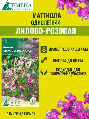 Семена МАТТИОЛЫ ЛИЛОВО-РОЗОВОЙ Семена для Сибири 150006892 купить в  интернет-магазине Wildberries