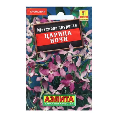 Семена Цветов Маттиола \"Царица ночи\", 0,5 г (9359779) - Купить по цене от  8.80 руб. | Интернет магазин SIMA-LAND.RU