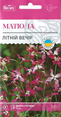 Семена маттиолы Летний вечер 1г ТМ ВЕЛЕС (ID#618900193), цена: 4.20 ₴,  купить на Prom.ua