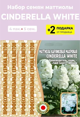 Семена Маттиола Cinderella White карликовая махрова, 4 упаковки + 2 Подарка  — купить в интернет-магазине по низкой цене на Яндекс Маркете