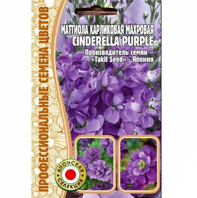 Семена Маттиолы карликовой махровой Cinderella purple (5 семян) — купить в  интернет-магазине по низкой цене на Яндекс Маркете