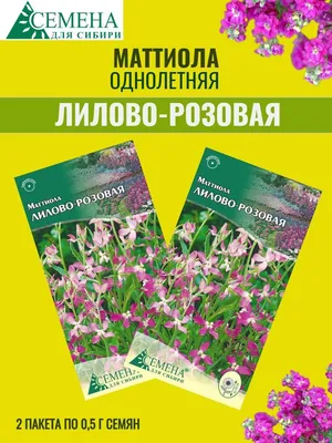 Купить семена маттиолы с доставкой курьером и почтой в интернет-магазине  Semena.ru