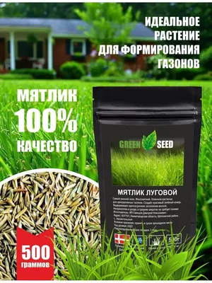 Семена газона ГазонCity Мятлик 2 кг по цене 2888 ₽/шт. купить в Саратове в  интернет-магазине Леруа Мерлен