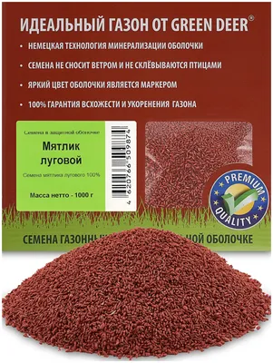 Мятлик луговой, семена 0.3 кг Сила Суздаля — купить в интернет-магазине по  низкой цене на Яндекс Маркете