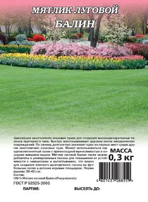 Мятлик луговой для газона семена, цена в Екатеринбурге от компании Интер  Строй Групп