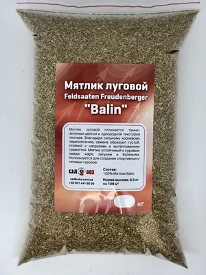 Семена Мятлик луговой 200 г купить в Минске выгодно