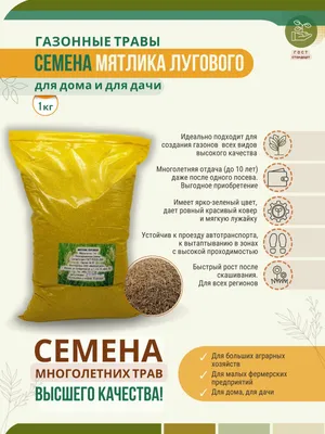 Смесь семян «Мятлик луговой» (упаковка, 2 кг) - Русские газоны