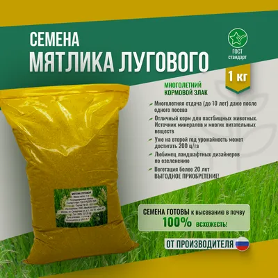 Мятлика лугового семена купить Беларуси от компании Агросемсервис Плюс