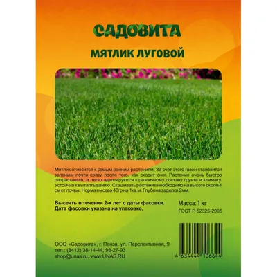 Купить семена мятлика лугового DLF (1 кг) в Москве за 1450 руб.