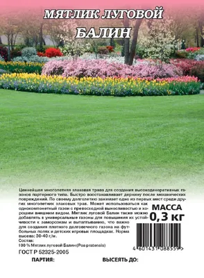 Газонная трава Мятлик луговой (Германия) семена мешок 5 кг, цена в  Екатеринбурге от компании Магеррамов Г.Д.